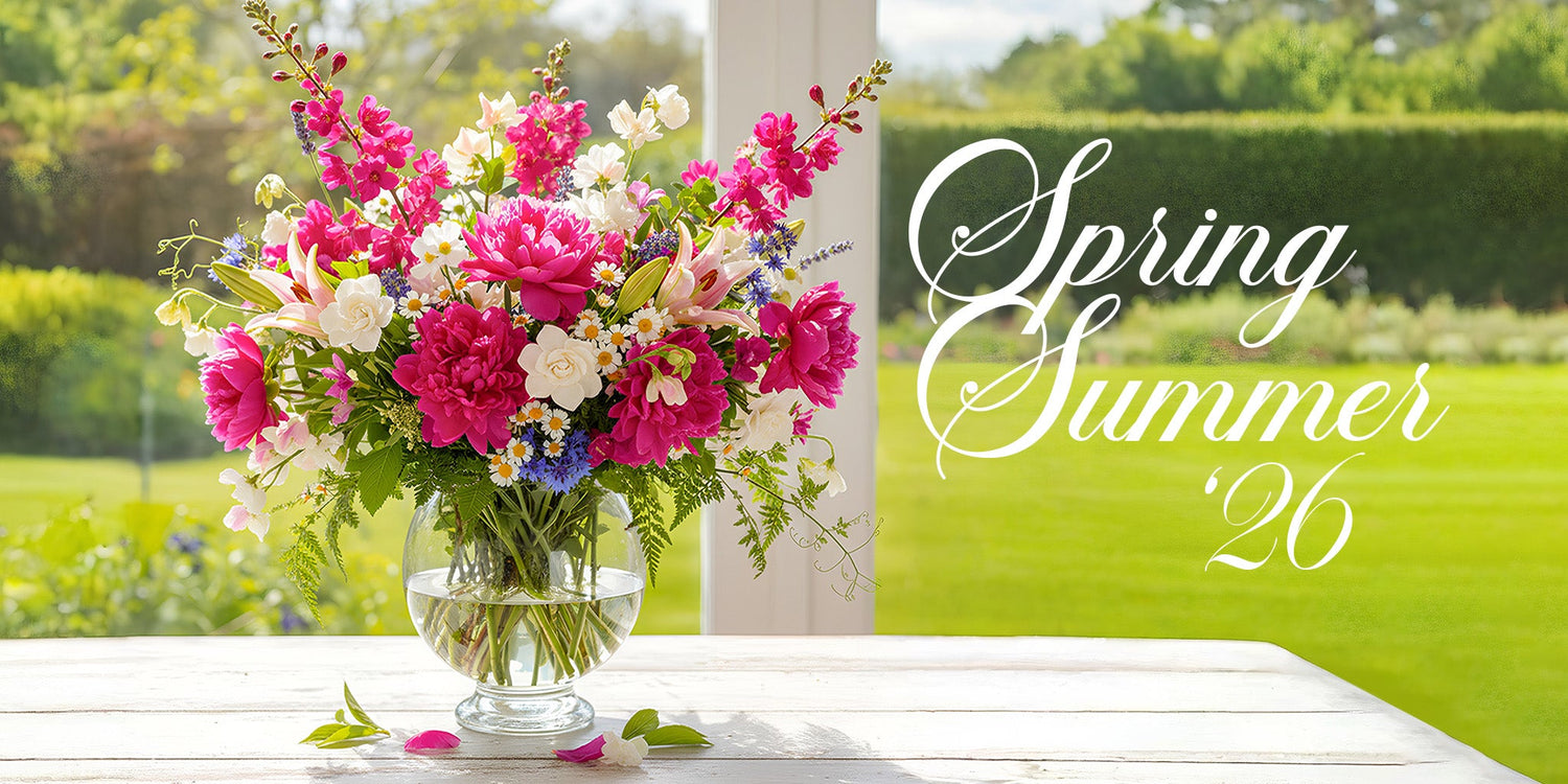 Summer Collection '26