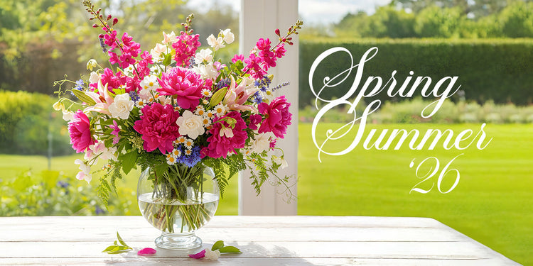 Summer Collection '26